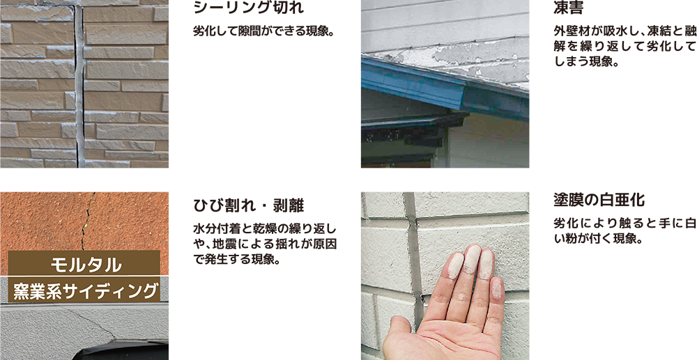 環境に優しい選択肢と最新トレンド