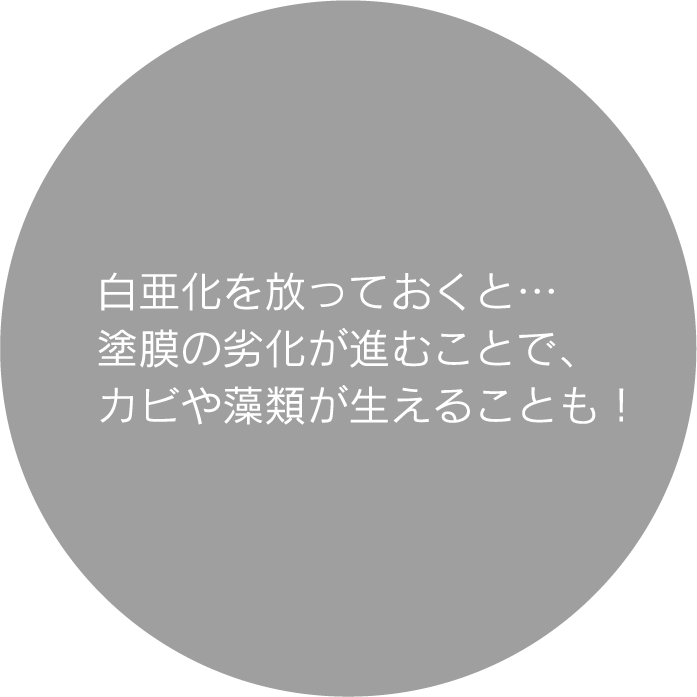 白亜化を放っておくと…塗膜の劣化が進むことで、カビや藻類が生えることも！